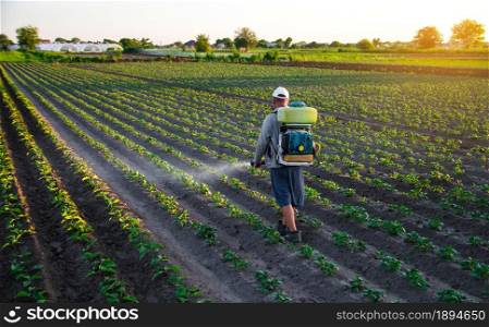Farmer sprays a potato plantation with a sprayer. Chemical treatment. Mist sprayer, fungicide and pesticide. Effective crop protection of cultivated plants against insects and fungal. Field work