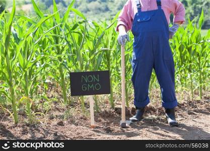 Farmer standing in front of non-GMO corn field