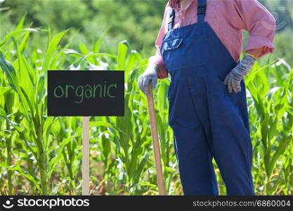 Farmer standing in front of the organic corn field