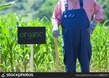 Farmer standing in front of the organic maize field