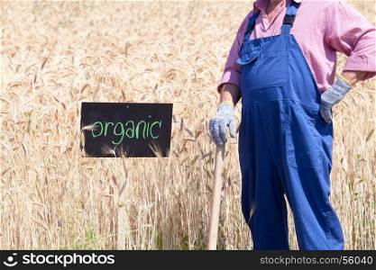 Farmer standing in front of the organic wheat field