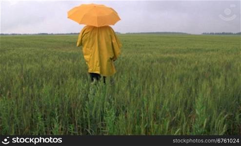 Farmer standing under an umbrella waiting for the rain in a wheat field