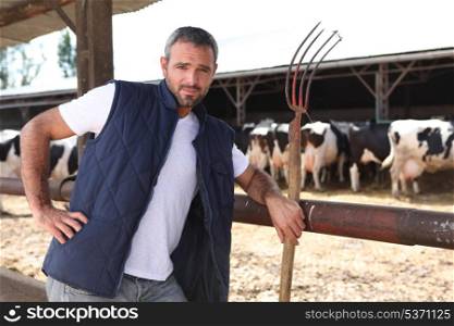 Farmer stood in front of cows
