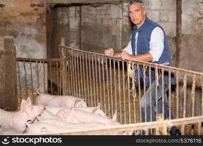 Farmer stood with pigs