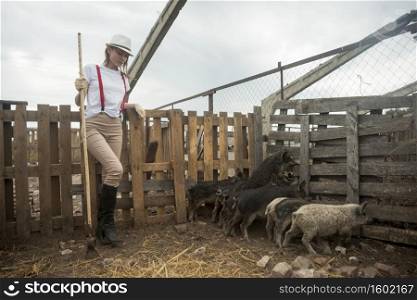 farmer taking care pigs sty