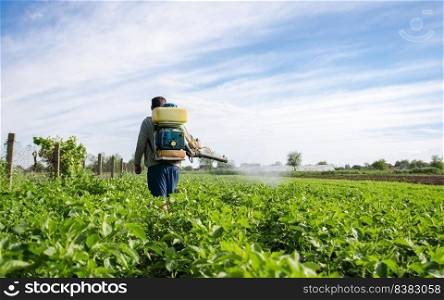 Farmer with a mist sprayer walks through farm field. Protection of cultivated plants from insects and fungal infections. Farming growing vegetables. Use of chemicals for crop protection in agriculture.. Farmer with a mist sprayer walks through farm field. Protection of cultivated plants from insects and fungal infections. Farming growing vegetables. Use of chemicals for crop protection in agriculture