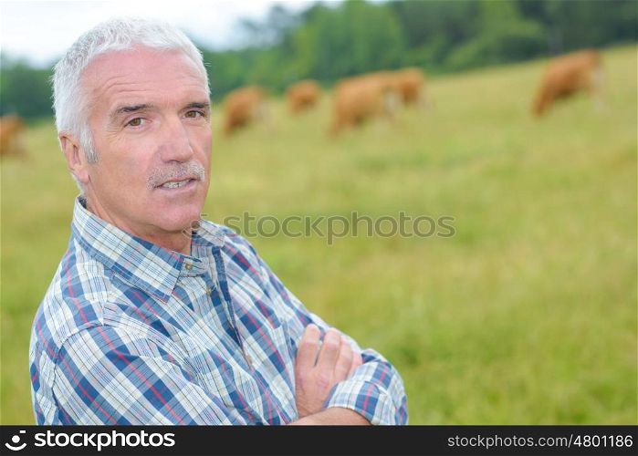 farmer with cattle