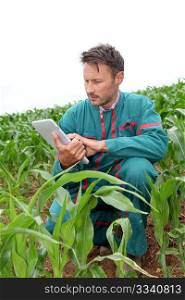 Farmer with electronic tablet analysing corn field