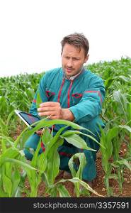 Farmer with electronic tablet analysing corn field