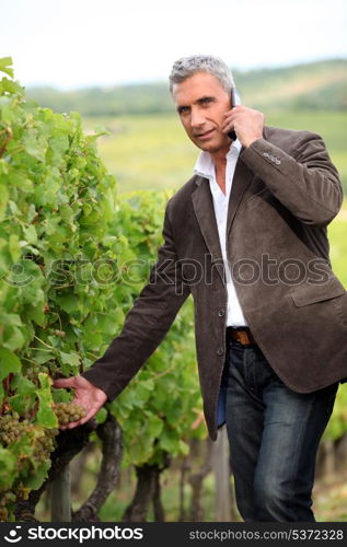 Farmer with mobile telephone stood in vineyard