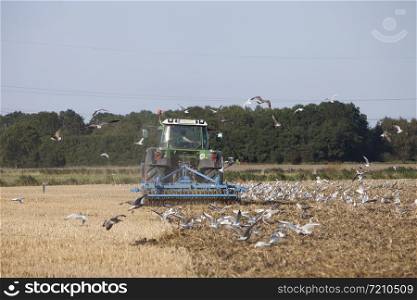 farmer with tractor plows field in late summer on countryside of lower saxony in germany under blue sky