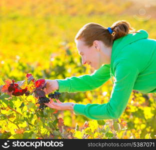 Farmer woman in vineyard harvest autumn leaves in mediterranean field