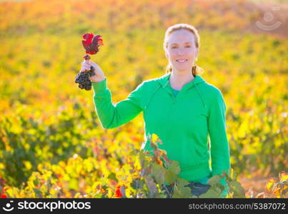 Farmer woman in vineyard harvest autumn leaves in mediterranean field