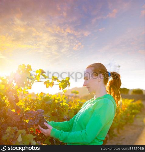 Farmer woman in vineyard harvest autumn leaves in mediterranean field at sunset