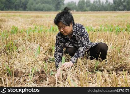 Farmer working in a field, Zhigou, Shandong Province, China