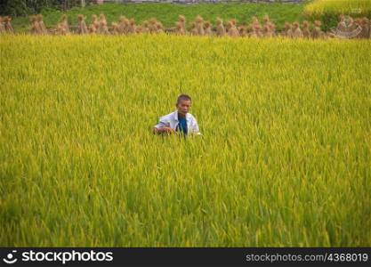Farmer working in a rice paddy field, Yangshuo, Guangxi Province, China