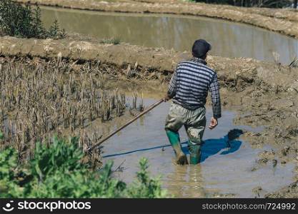 Farmer working on terraced rice fields in the morning