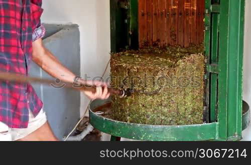 Farmer working with the wine press