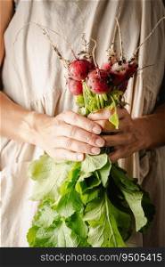 Farmers holding fresh radish in hands on farm. Woman hands holding freshly bunch harvest. Healthy organic food, vegetables, agriculture, close up. Fresh radish lies