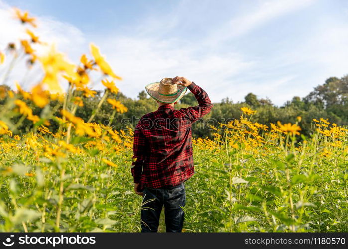 Farmers inspect the sunny summer flowers farm.