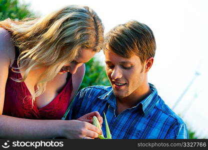 Farmers - man and woman - checking the corn for the harvest in a beautiful sunset