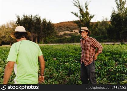 Farmers men with hat working in his field