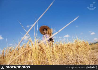 Farmers of harvest season stand in fields with the blue sky.