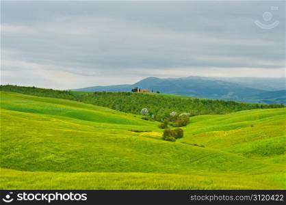 Farmhouse and Church over Green Sloping Meadows of Tuscany