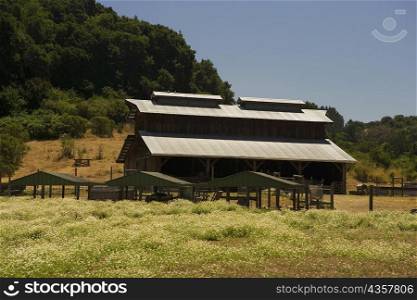 Farmhouse in a field