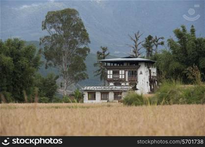 Farmhouse in a field, Punakha District, Bhutan