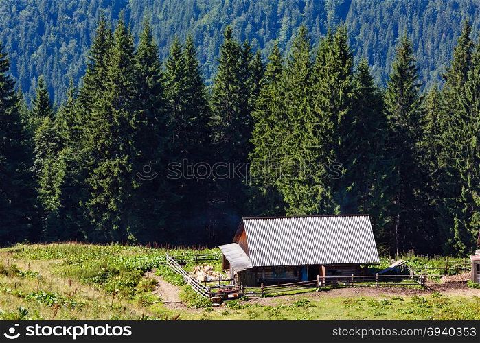 Farmhouse shed on summer mountain Vesnjarka plateau (Carpathian, Ukraine).