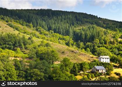 Farmhouse Surrounded by Forest in the French Alps