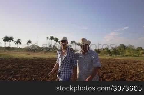 Farming and cultivations in Latin America. Hispanic farmer walking with his son in a cultivated field at sunset. The man embraces the teenager and plan the job to be done. Steadicam shot
