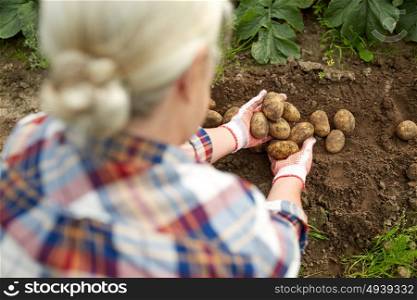 farming, gardening, agriculture and people concept - farmer with potatoes at farm garden. farmer with potatoes at farm garden
