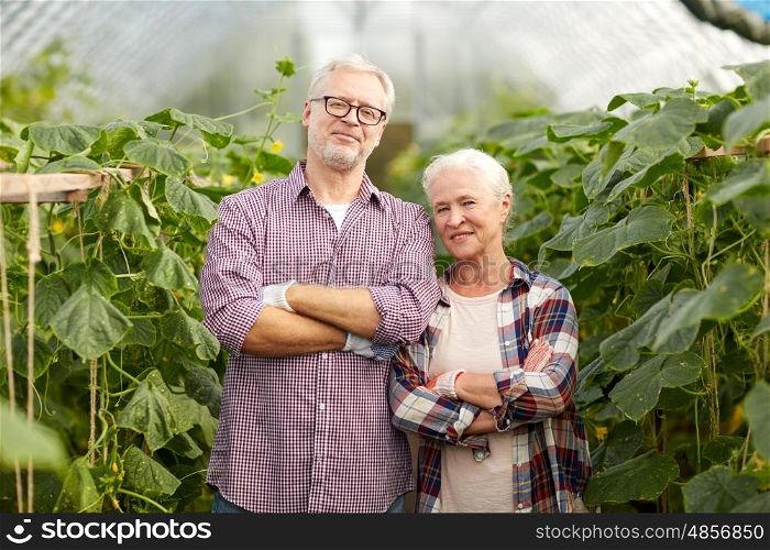 farming, gardening, agriculture and people concept - happy senior couple at farm greenhouse