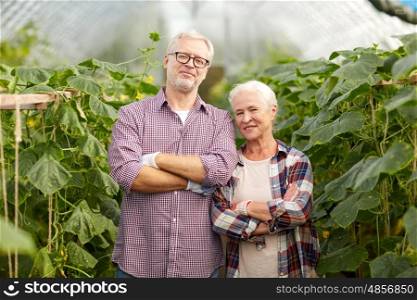 farming, gardening, agriculture and people concept - happy senior couple at farm greenhouse
