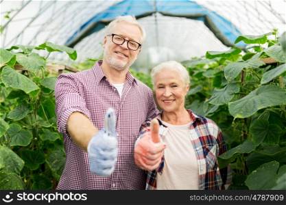 farming, gardening, agriculture and people concept - happy senior couple at farm greenhouse showing thumbs up