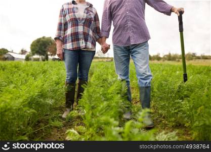 farming, gardening, agriculture and people concept - happy senior couple at summer farm. happy senior couple at summer farm