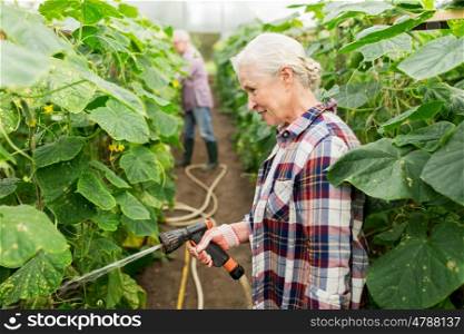 farming, gardening, agriculture and people concept - happy senior couple garden hose watering plants or cucumber seedlings at farm greenhouse