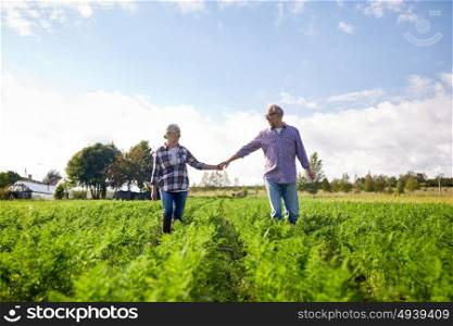farming, gardening, agriculture and people concept - happy senior couple holding hands at summer farm. happy senior couple holding hands at summer farm