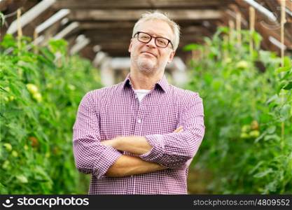 farming, gardening, agriculture and people concept - happy senior man at farm greenhouse