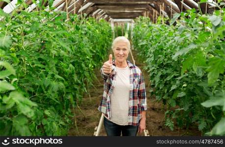 farming, gardening, agriculture and people concept - happy senior woman at farm greenhouse showing thumbs up