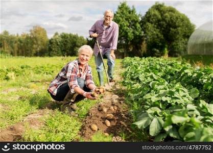 farming, gardening, agriculture and people concept - senior couple planting potatoes at garden or farm
