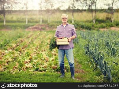 farming, gardening, agriculture and people concept - senior man with box of vegetables at farm garden. old man with box of vegetables at farm garden