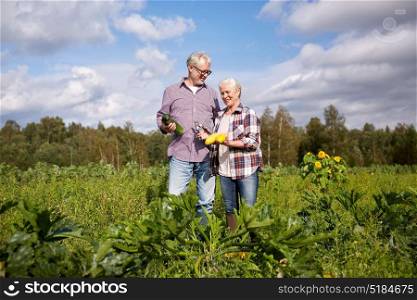 farming, gardening, agriculture, harvest and people concept - happy senior couple on squash garden bed at farm. happy senior couple on squash garden bed at farm