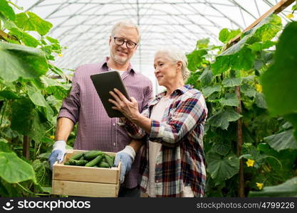 farming, gardening, agriculture, harvesting and people concept -happy senior couple with box of cucumbers and tablet pc computer at farm greenhouse