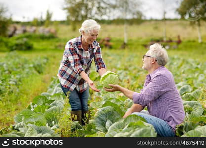 farming, gardening, agriculture, harvesting and people concept - senior couple picking cabbage at farm garden