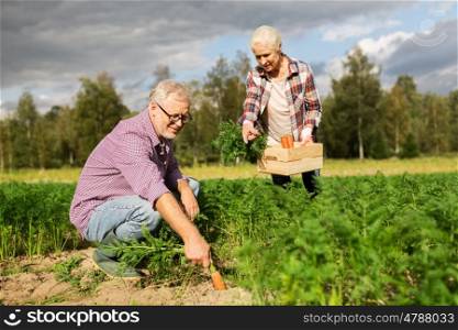 farming, gardening, agriculture, harvesting and people concept - senior couple with box for vegetables picking carrots at farm