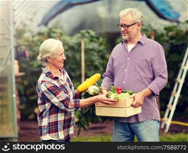 farming, gardening, agriculture, harvesting and people concept - senior couple with box of cucumbers at farm greenhouse. senior couple with box of cucumbers on farm