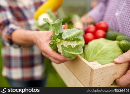 farming, gardening, agriculture, harvesting and people concept - senior couple with box of vegetables at farm. senior couple with box of vegetables on farm